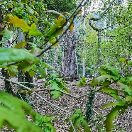 Duerming Ria De 比韦罗