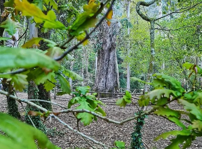 Duerming Ria De Viveiro